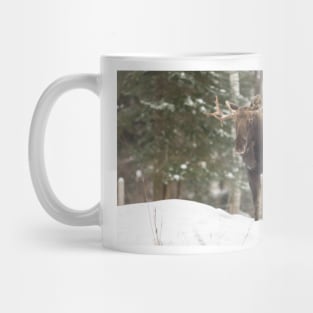 Bull moose in winter Mug